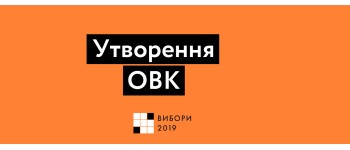 Вінниччина: переважна більшість голів ОВК, їхніх заступників та секретарів не мають досвіду роботи в керівному складі комісій