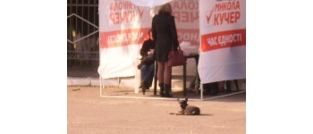 Вінниччина: ще один самовисуванець використовує дизайн реклами і гасло як у «Блоку Петра Порошенка»